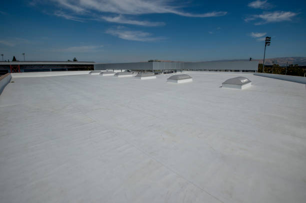 Professional Roofing Services in East Brady, PA